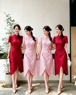 Furry Lace Pleats A Line Cheongsam DUSTY PINK/ WINE RED (S-XL)
