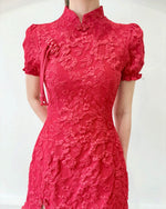 3D Embroidery Lace Mini Qipao WHITE/ PINK/ RED (S-2XL)